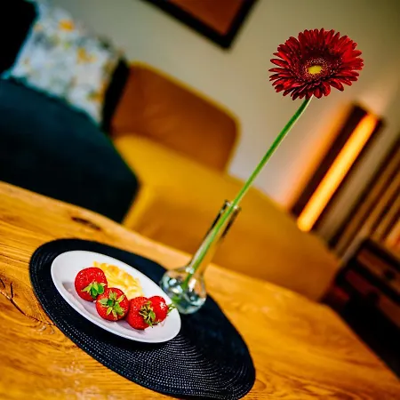 וילה Highlander House *